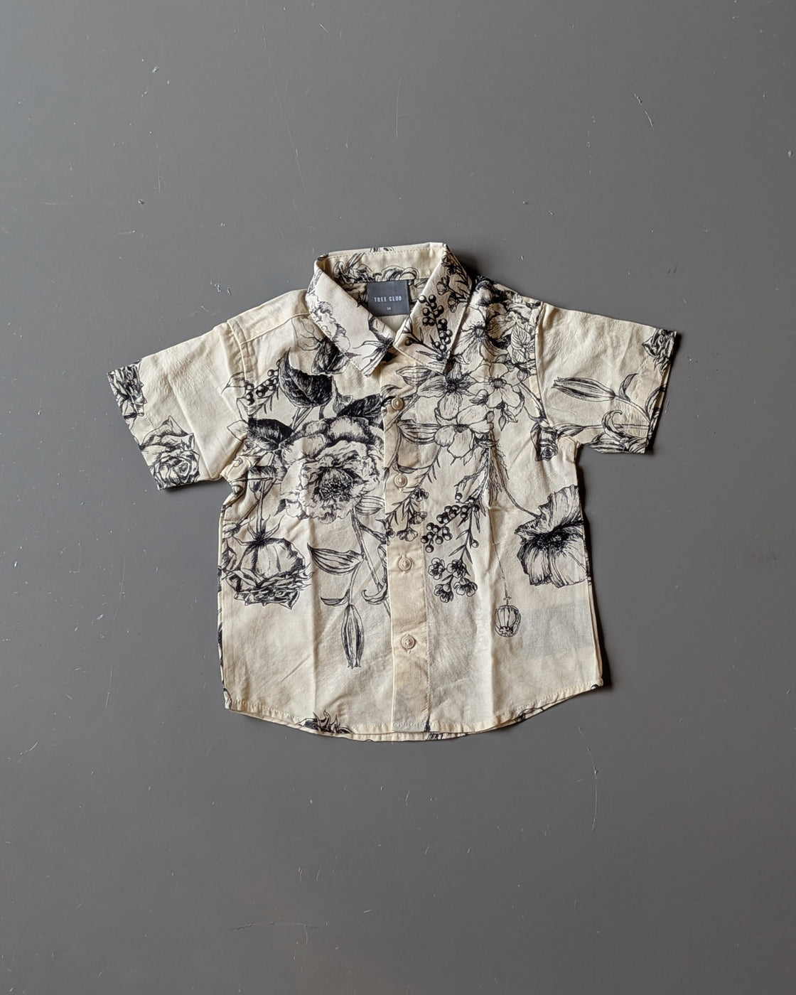 Half Sleeve All Over Printed Shirt